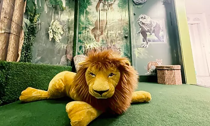 One 60 or 120 Min Ticket- One or Two Hours Open Play for 1 Kid & More