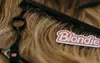 Step Into Blondie for a Blonde Refresh