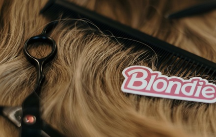 Women's Luxury Haircut with Shampoo, Treatment, Blow Dry and Style - Blondie