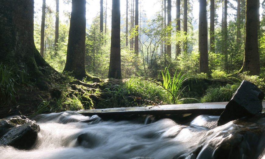 Image 6: Teutoburger Wald: 4 Nächte mit Verpflegung und Yoga-Seminar