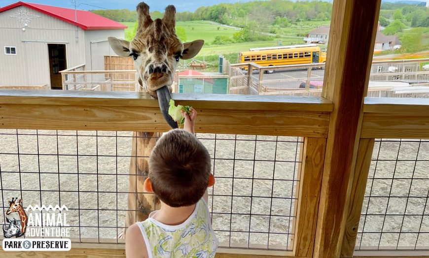 Image 3: Explore & Enjoy Interactive Animal Encounters at Animal Adventure Park