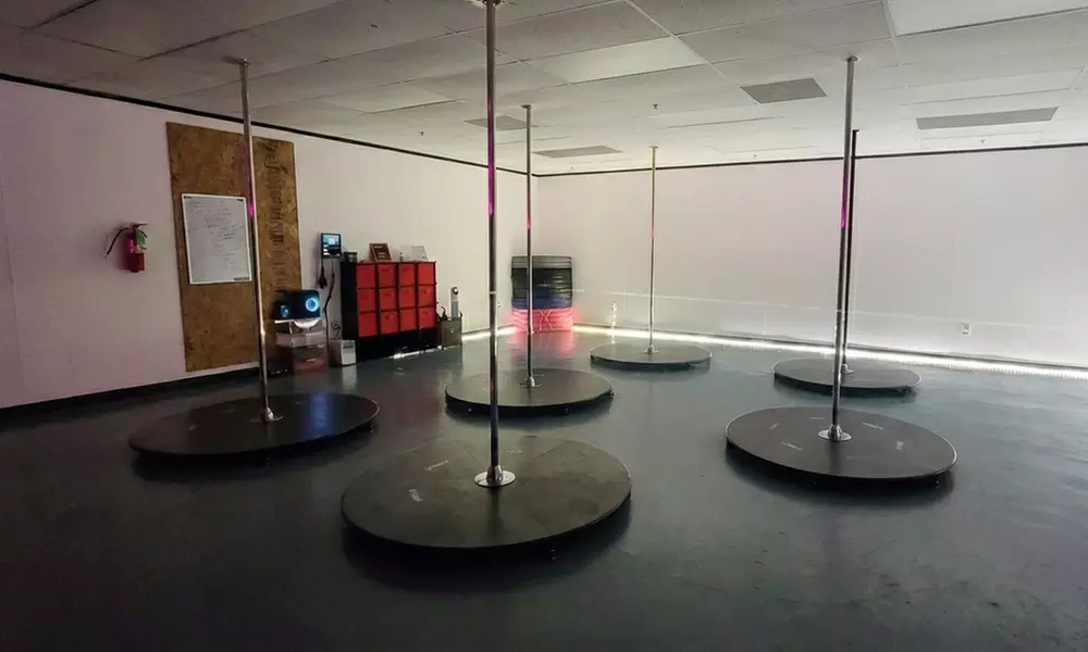 Introductory & Beginner Pole Dance Classes