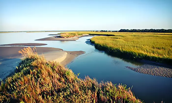 Enjoy Capers Island Wildlife Explorations & Blue Crabbing Excursions