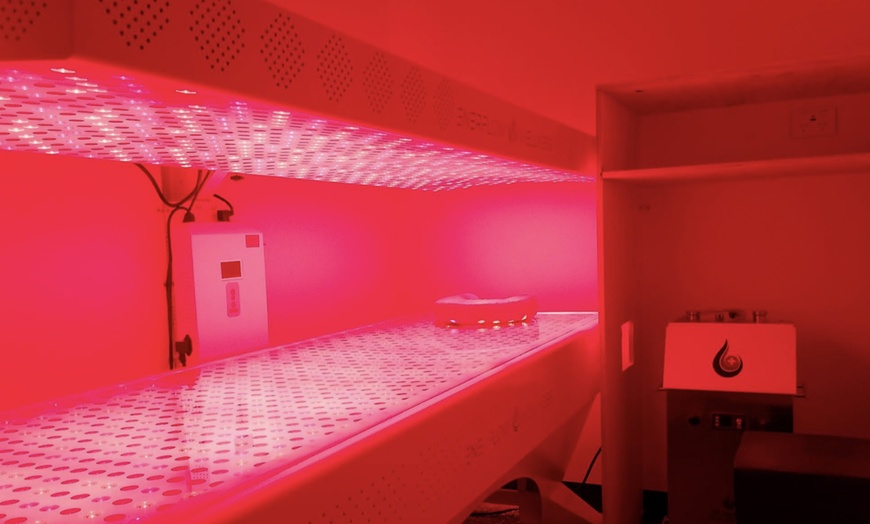 Image 2: Infrared Sauna, Floatation Tank Therapy, Whole Body Red Light and More