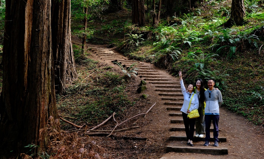Image 36: Muir Woods & Sausalito Tour – San Francisco Bay Area