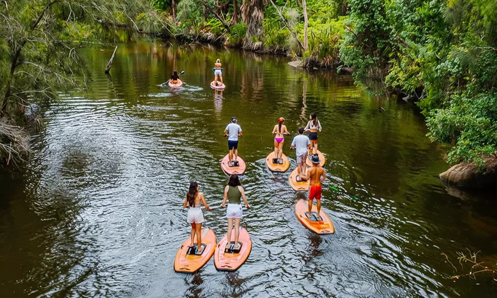 Ticket to Narrabeen Sup Creek Tour for Up to 11 People