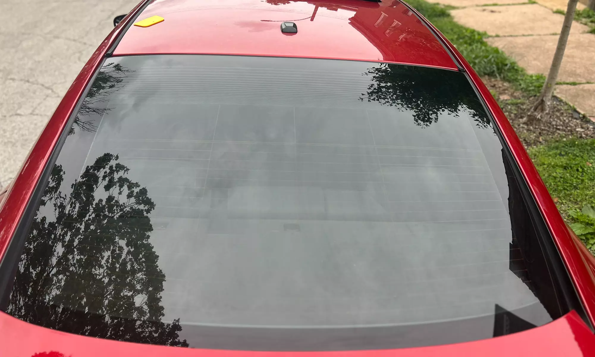 Easy's Full Detail, Interior Cleaning, Head Light Tint or Full Tint!