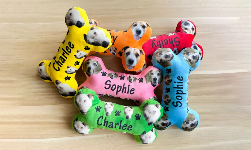 One or Two Custom Pet Toys - Custom Frisbees or Bones Available!