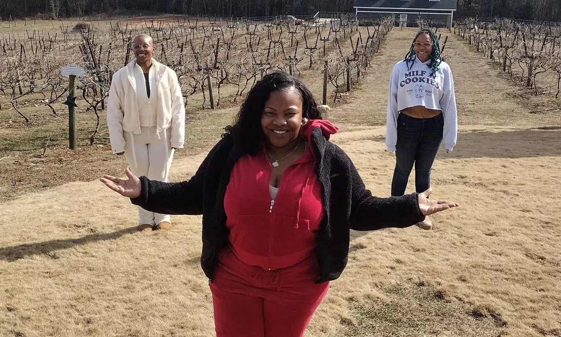 Wine Tour Experience or Vineyard Tour Experience for 1, 2 or 4 & More