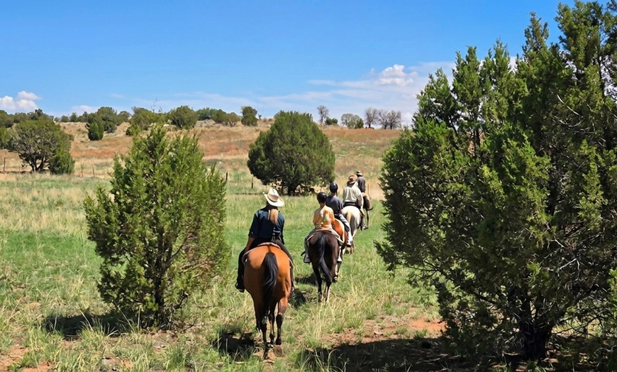 Image 12: Scenic Trail Rides at Double R Ranch – All Skill Levels Welcome
