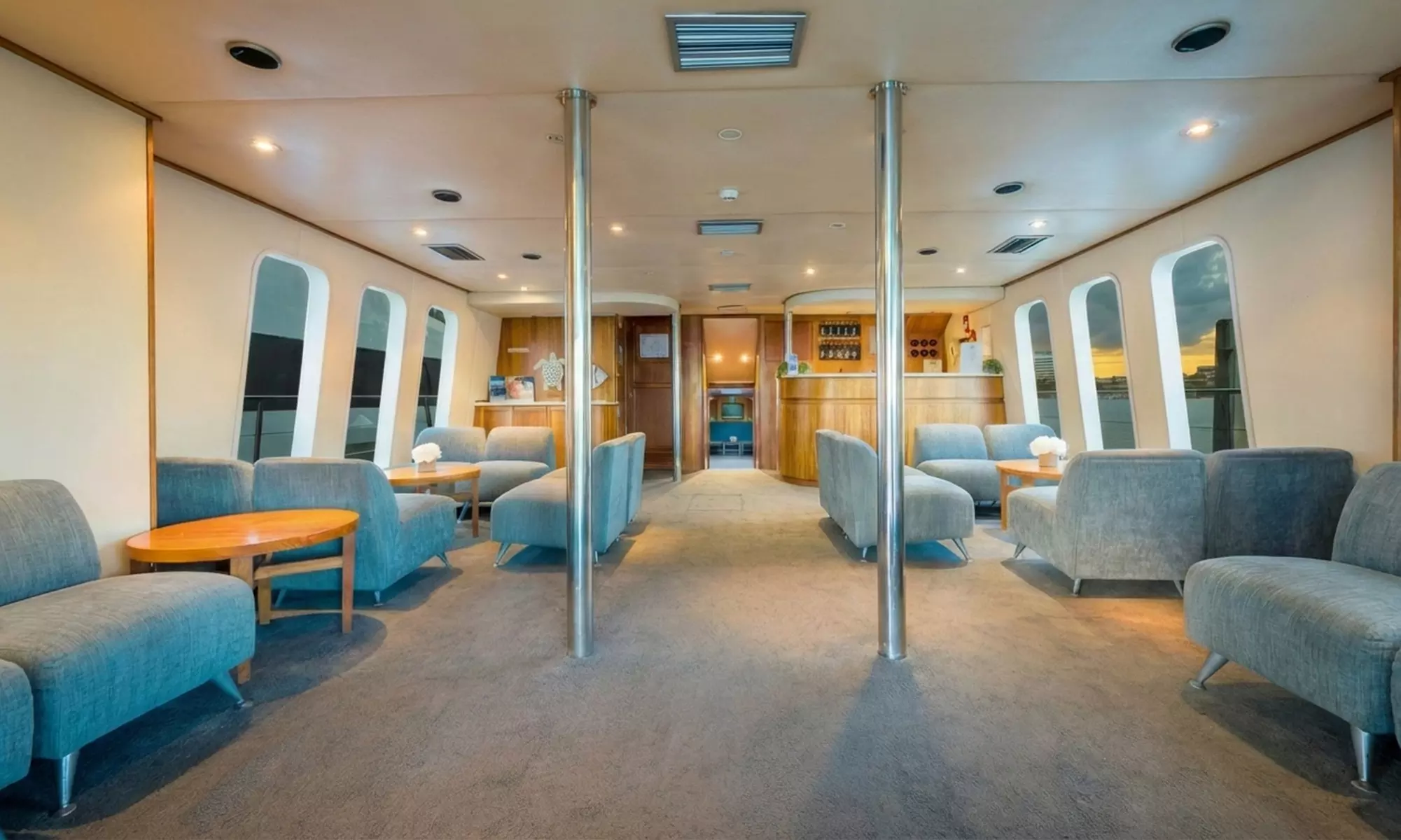 Gold Coast Whale Watching Cruise: Witness Humpbacks & Marine Life