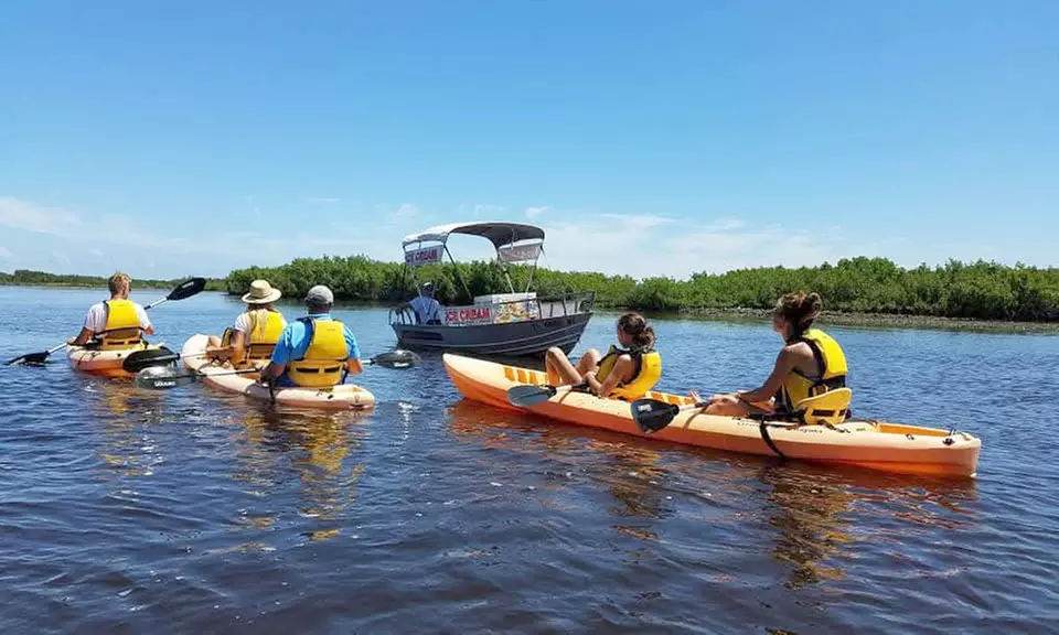 Guided Kayak Tours for Wildlife & Nature Exploration in Daytona Beach