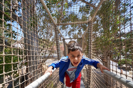 What to expect media