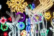 Charleston Festival of Lights Holiday Tour: Experience the Festival and Enjoy the Magical Sights - Second Medium
