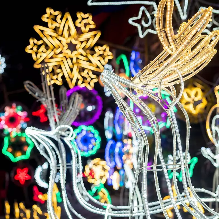 Festival of Lights Tour w/ Live Narration, Certified Guides & Santa