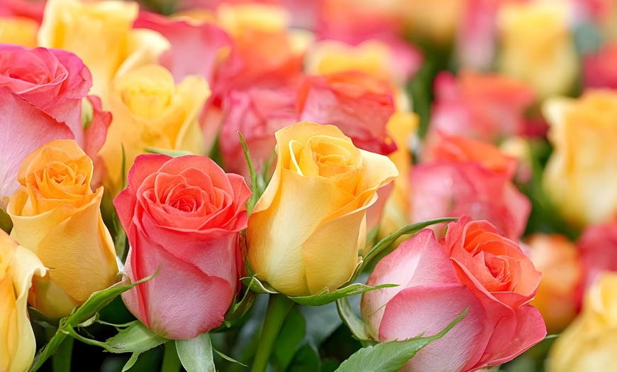 Image 2: 50% Off Flowers & Gifts with UK Nationwide Delivery