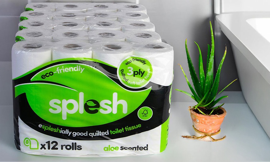 Image 3: 72 Splesh Rolls, Domestos Foam Spray 450ml and CIF Bath 700ml Bundle