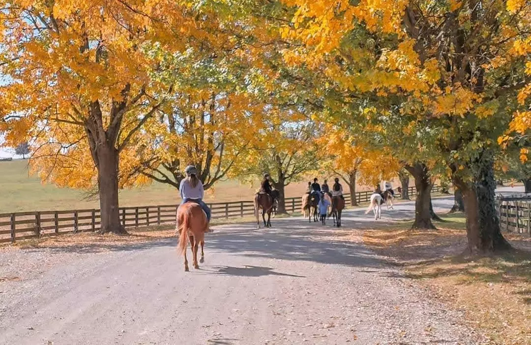 Experience Horseback Trail Rides in Northern Virginia's Horse Country
