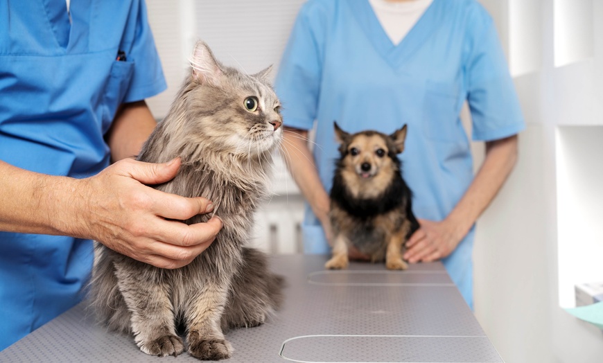 Image 1: Up to 50% Off on Pet Care - At Weston Road Animal Hospital