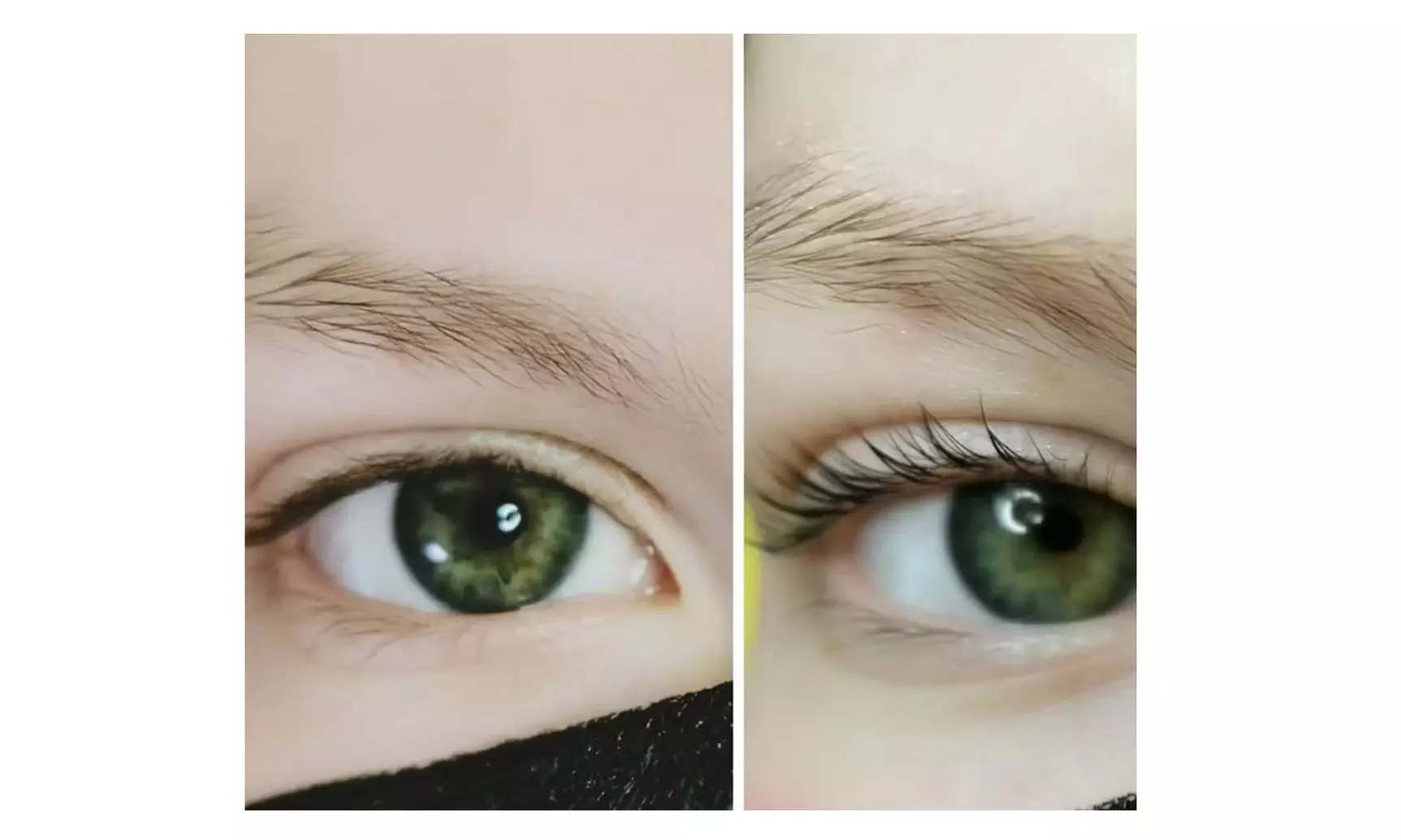 Wimpern- oder Augenbrauen-Treatment nach Wahl für 1 Person