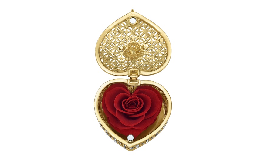 Image 13: Rosa eterna