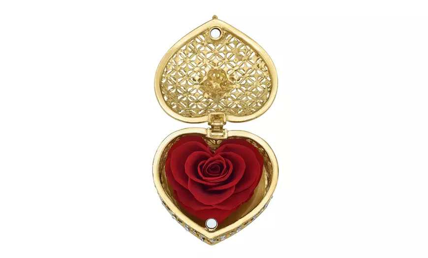 Image 13: Rosa eterna