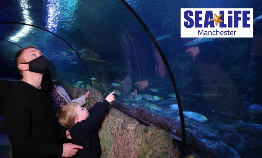 admission-to-sea-life-manchester-aquarium-sea-life-manchester