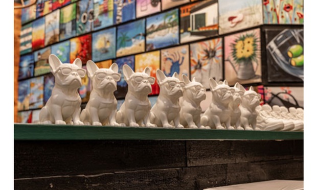 What to expect media