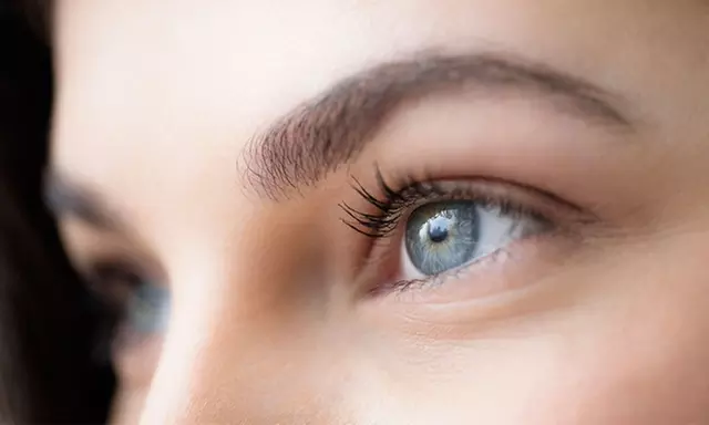 Transform Your Eyebrows: Microblading Session with Optional Touchup