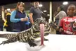 Novi Pet Expo: Michigan's Largest Pet Celebration, Up to 33% Off - Second Medium