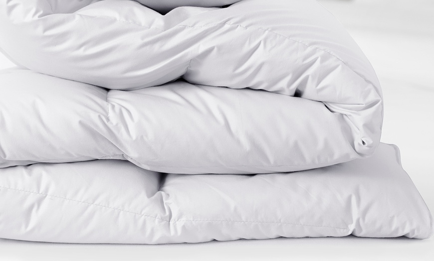 Image 4: Royal Comfort 800GSM Ultra Warm Silk Quilt