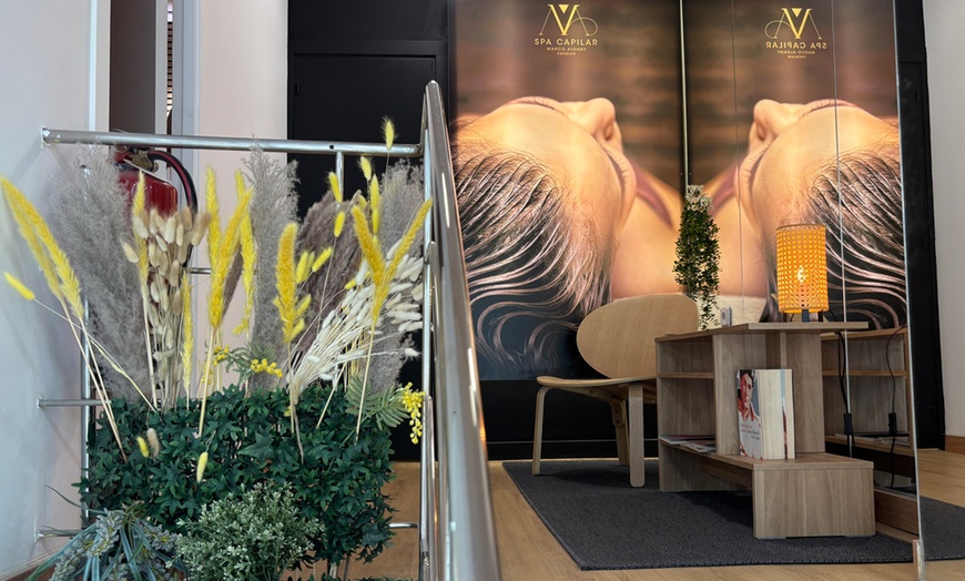 Image 5: Spa capilar Armonía, Detox o Anticaída con opción a masaje kobido