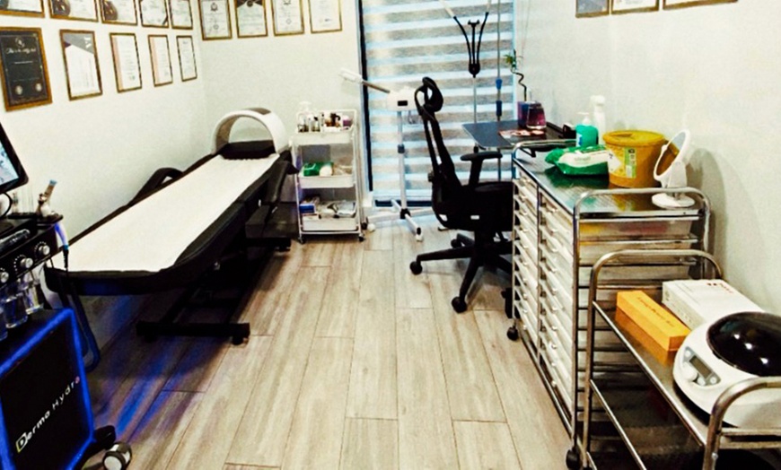 Image 2: Enhance Your Look with 0.5ml or 1ml Dermal Lip Filler + Consultation