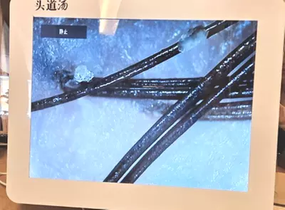 Enjoy Classic Head Spa Treatments w/Scalp & Shoulder Massage for 1-2