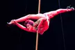 Tilt, Le Cirque World's Top Performers: dal 22 al 28 dicembre al Teatro della Luna, Milano (sconto fino a 27%) - Image 5
