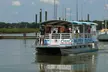 Hilton Head Island Tour w/ Insightful Stories from Captain, Dolphins & Other Wildlife in their Natural Habitat - Second Medium