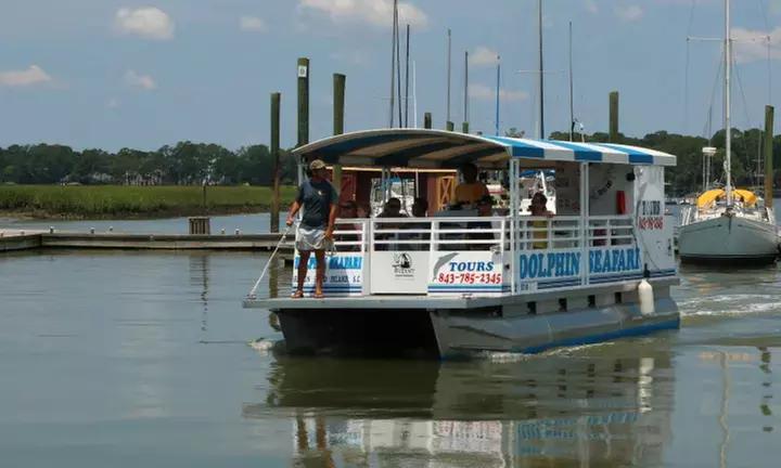 90-Minute Hilton Head Island Dolphin Tour for Adult, Child & Infant