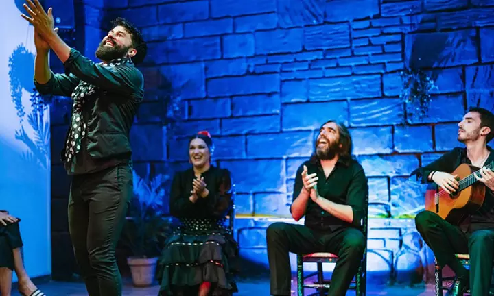 Entrada para adulto, niñ@ o senior al Baraka Flamenco Show