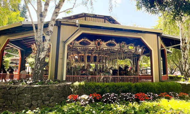 What to expect media