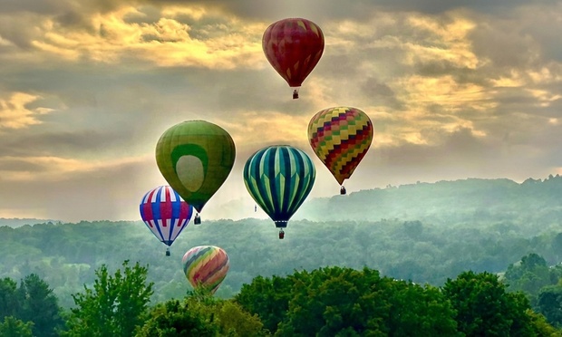 What to expect media