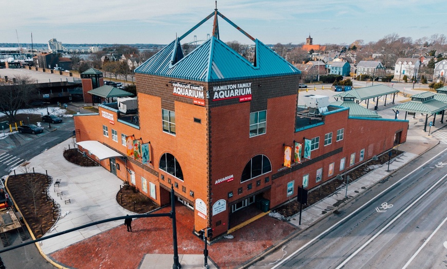Image 2: Explore Marine Life at Save The Bay's Aquarium – Newport, RI