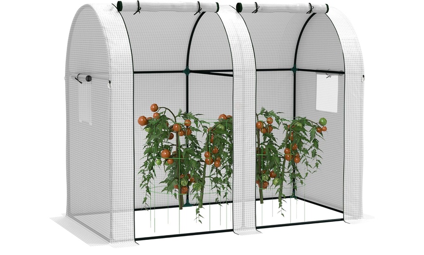 Image 23: Outsunny Mini Greenhouse