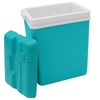 Image 39: Insulated Cooler Ice Box and Optional Ice Blocks 15L, 24L, 35L
