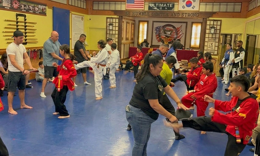 Image 6: Martial Arts Classes for All Ages with Free T-shirt & Trophy