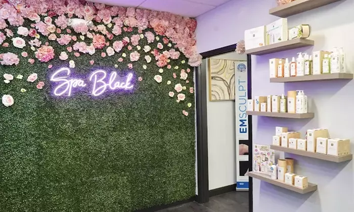 Up to 47% Off on Botox Injections at Spa Black