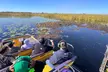 Explore Wildlife on an Everglades Airboat Tour in Kissimmee with Northern Everglades Adventures (Up to 18% Off) - Second Medium