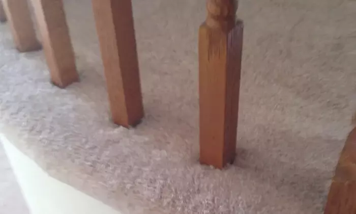 Carpet Cleaning for 2, 4, or 6 Rooms
