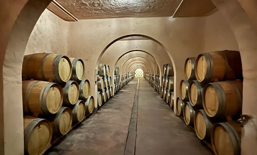 Image 11: Visita a Bodegas Las Virtudes con cata para 2 o 4 personas