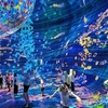 Image 1: Explore TeamLab Phenomena General Admission for Adults and Youths