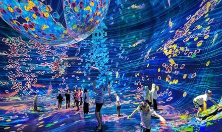 For four Adults: TeamLab Phenomena General admission